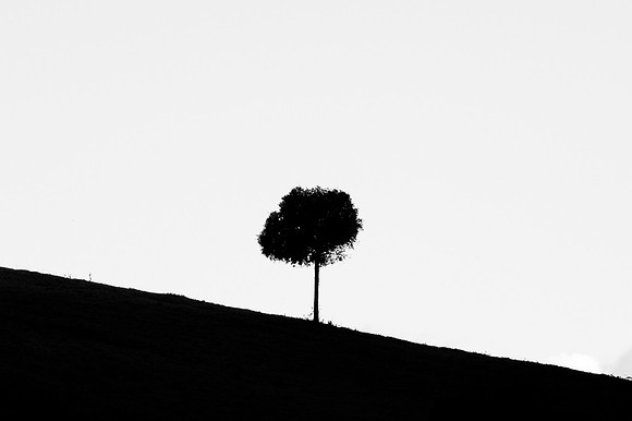 190811-_CSR0612sin título